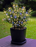 47-Inch Multi-Strand: 150 Lights: Incandescent BLUE & WHITE