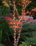 47-Inch Multi-Strand: 150 Lights: Incandescent CLEAR: Item #M005C