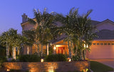 LED Palm Tree Lighting Kit, Up to 10' Palm, 200 Lights with Twinkle Tips