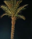 Palm Tree Lighting Kit, Up to 10' Palm, 300 Incandescent Lights with Twinkle Tips