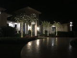 LED Palm Tree Lighting Kit, Up to 10' Palm, 200 Lights with Twinkle Tips