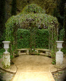 60-Inch Multi-Strand: 150 Lights: Incandescent CLEAR: Item #L007C