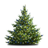 47-Inch Multi-Strand: 150 Lights: Incandescent BLUE & WHITE