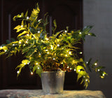 18-Inch Multi-Strand: 50 Lights: LED