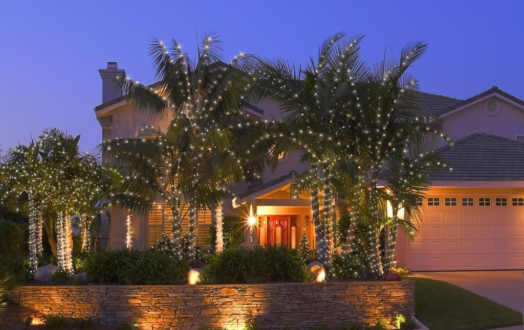 Palm Tree Lighting Kit, Up to 10' Palm, 300 Incandescent Lights with T –  Trim-It-Quick!