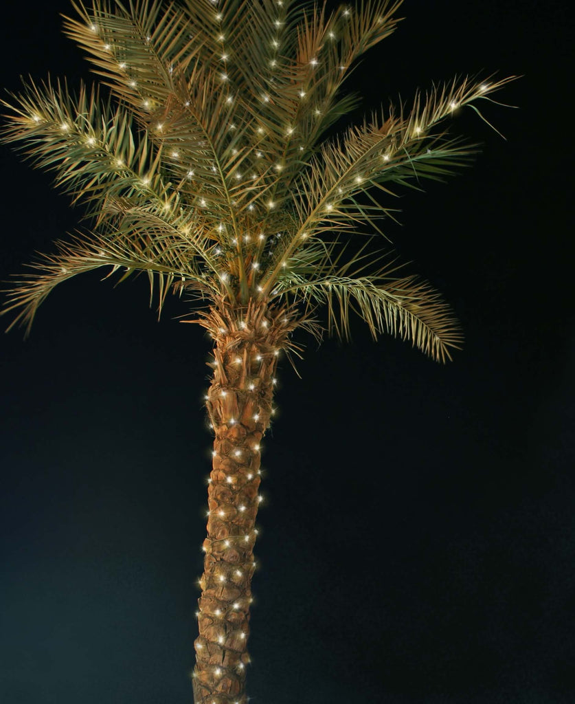 palm plant light $35 HOLIDAY DEAL! LED Palm Tree Lighting Kit, Up to 10' Palm, 200 Ligh – Trim-It-Quick!