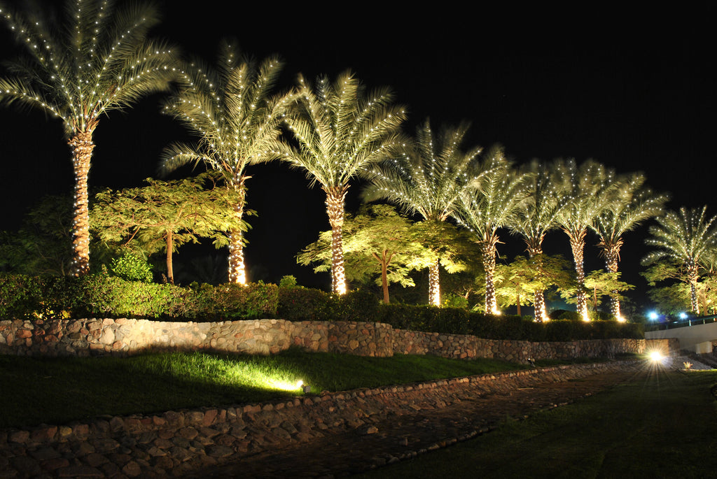 palm plant light $20 HOLIDAY DEAL! Palm Tree Lighting Kit, Up to 10' Palm, 300 Incandes – Trim-It-Quick!
